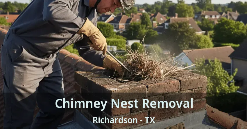Chimney Nest Removal Richardson - TX