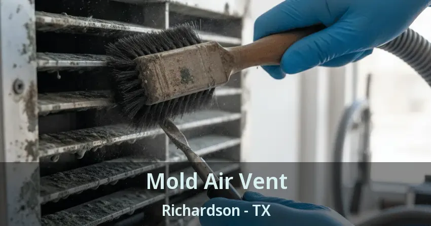 Mold Air Vent Richardson - TX Mold Air Vent Richardson - TX