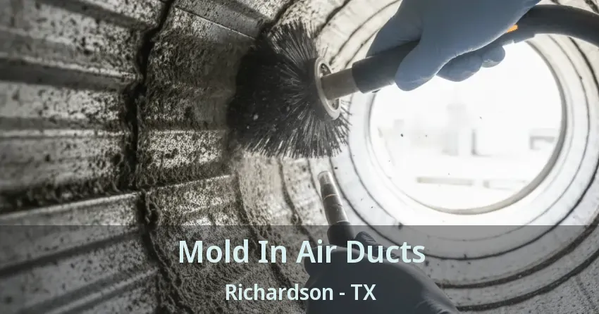 Mold In Air Ducts Richardson - TX