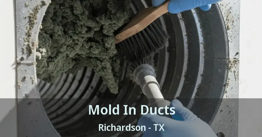 Mold In Ducts Richardson - TX Mold In Ducts Richardson - TX