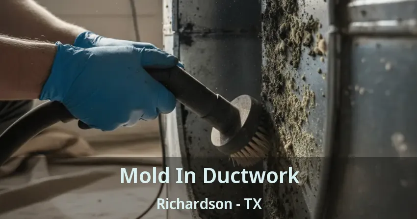 Mold In Ductwork Richardson - TX