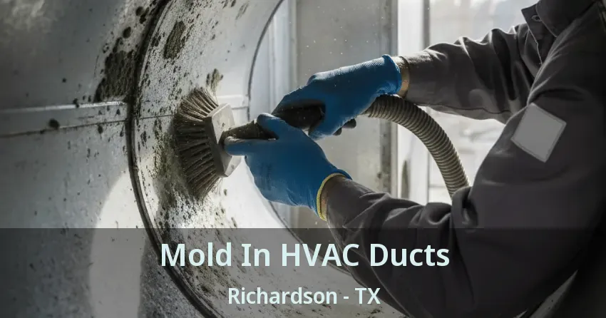 Mold In HVAC Ducts Richardson - TX Mold In HVAC Ducts Richardson - TX