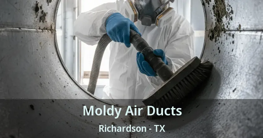 Moldy Air Ducts Richardson - TX Moldy Air Ducts Richardson - TX